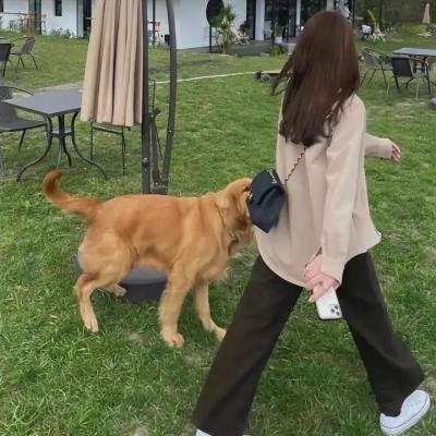 北极世界末日